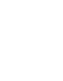 Professional Technical Services