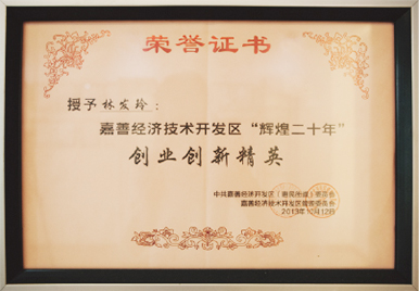 "Brilliant 20 Years" Entrepreneurship and Innovation Elites of Jiashan Economic and Technological Development Zone